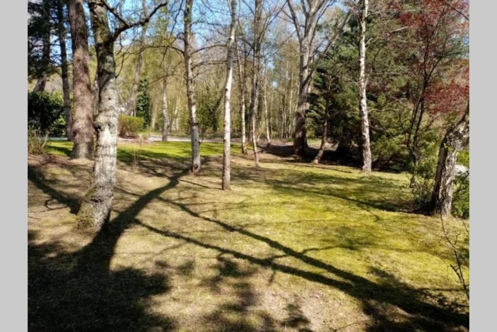 Villa Les Lutins Le Touquet Eksteriør billede